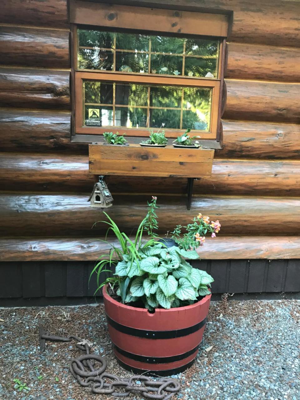 Union Bay Log Home Exterior foto